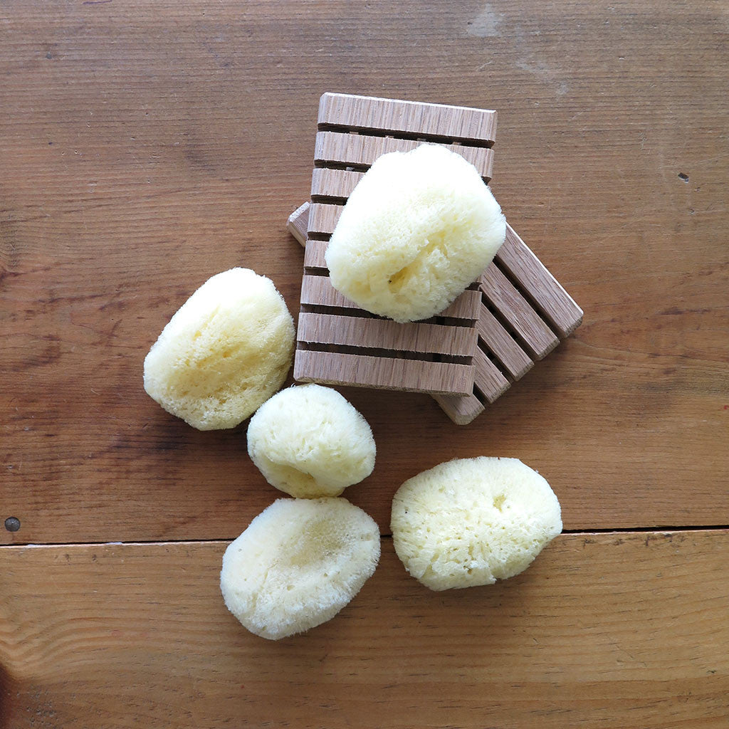 Silk sponges and wood decks
