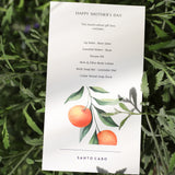 Gift Box : White Orchard