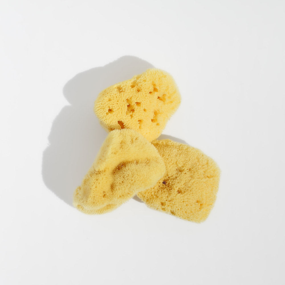 Natural Sea Wool Sponge - Gilded Olive Apothecary